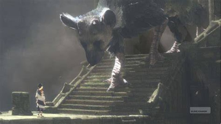 8. The Last Guardian - 17 Points