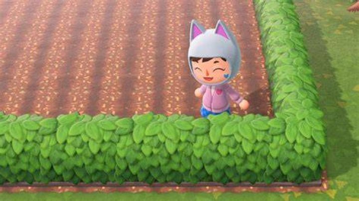 Animal Crossing: New Horizons hedge recipe