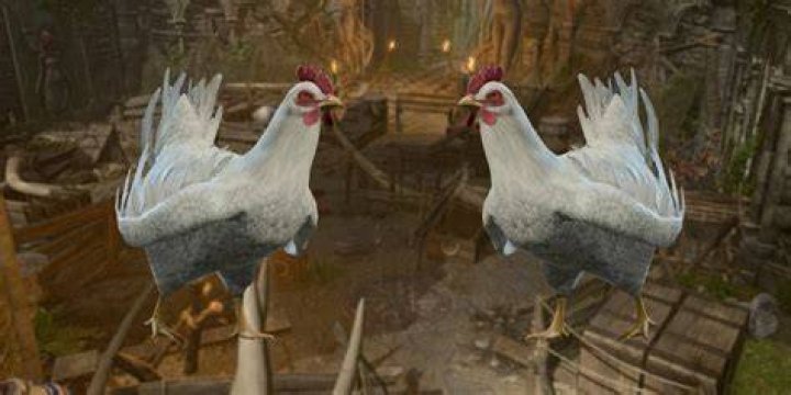 How to Fix Owlbear Cub Not Showing Up in Baldur's Gate 3 Baldurs-Gate-3-Chicken-Chase-Owlbear-Cub