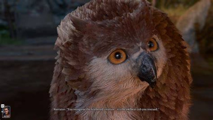 How to Fix Owlbear Cub Not Showing Up in Baldur's Gate 3 Baldurs-Gate-3-Owlbear-Cub-Camp