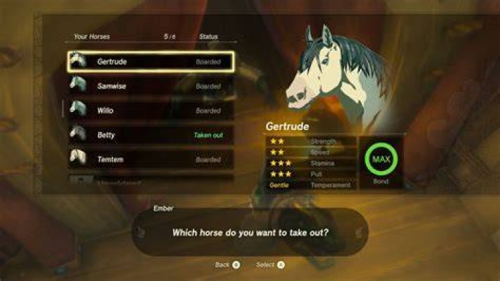 What Carries Over from BotW to Zelda Tears of the Kingdom? BoTW-Horse-Save-Data