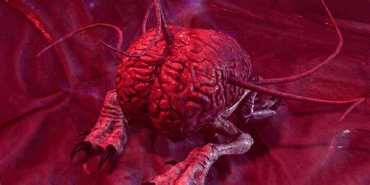 Should You Mutilate or Destroy the Brain in Baldur’s Gate 3? Brain-Baldurs-Gate-3-Mutilate-Destroy-Us-Intellect-Devourer