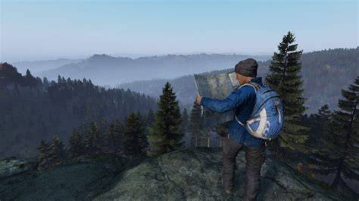 DayZ Solo Mode