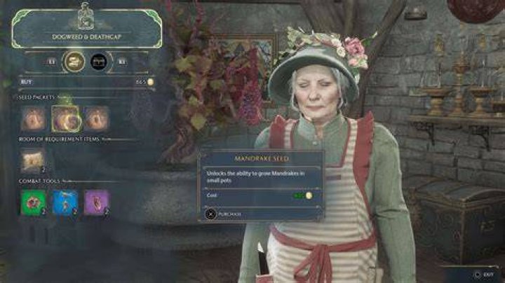 Where is Dogweed and Deathcap in Hogwarts Legacy? Dogweed-and-Deathcap-Vendor