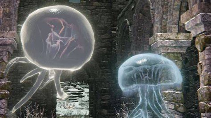 Elden Ring Jellyfish Sisters