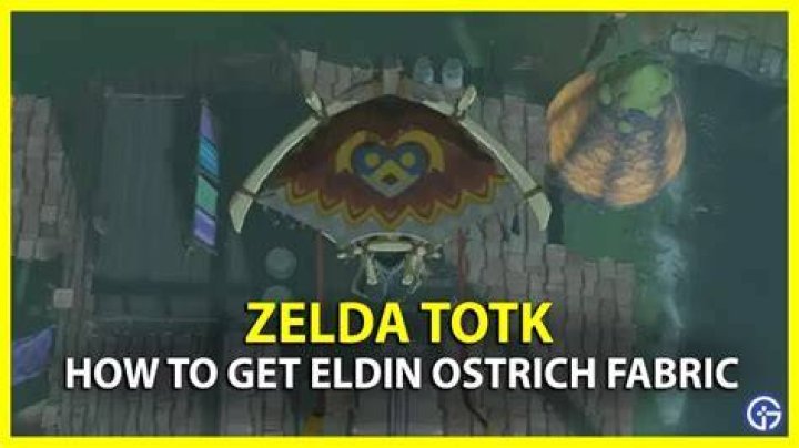 How to Unlock All Paraglider Fabric Patterns in Zelda Tears of the Kingdom Eldin-Ostritch-Fabric-Zelda-ToTK