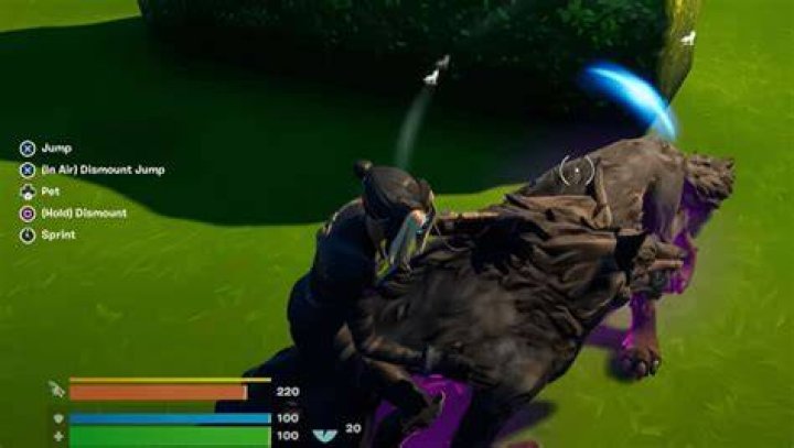 Fortnite Animal Petting