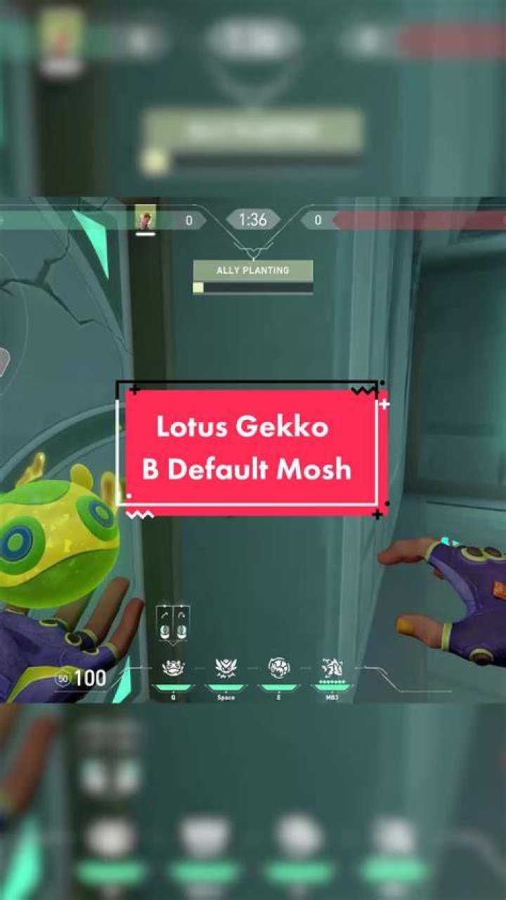 Valorant: Best Gekko Lotus Lineups and Setups Gekko-Mosh-Pit-Lotus-1