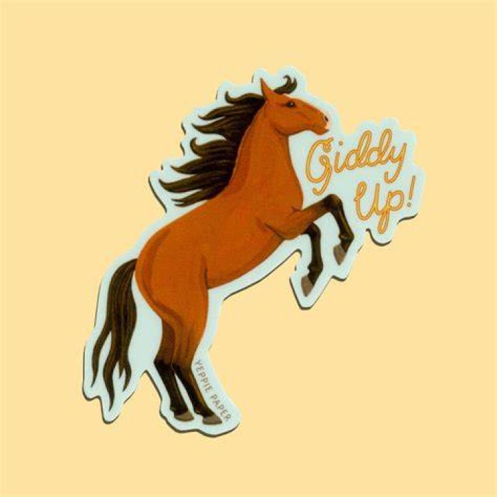 Giddy Up
