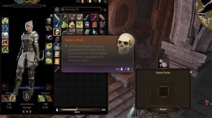 BG3 Sarin's Skull Location: How to Solve the Sarin Skeleton Puzzle Give-Sarins-Skull-Back