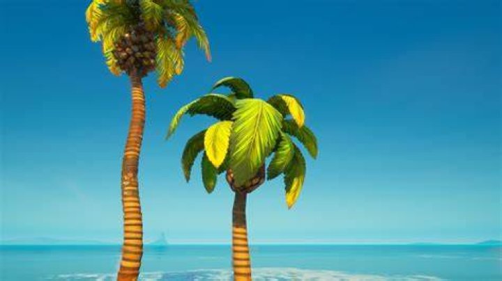 Fortnite OG AFK XP Glitch (PC & Console) Grapple-Palm-Tree-Fortnite