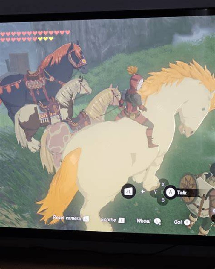 What Carries Over from BotW to Zelda Tears of the Kingdom? Horse-carried-over-from-BoTW-into-ToTK