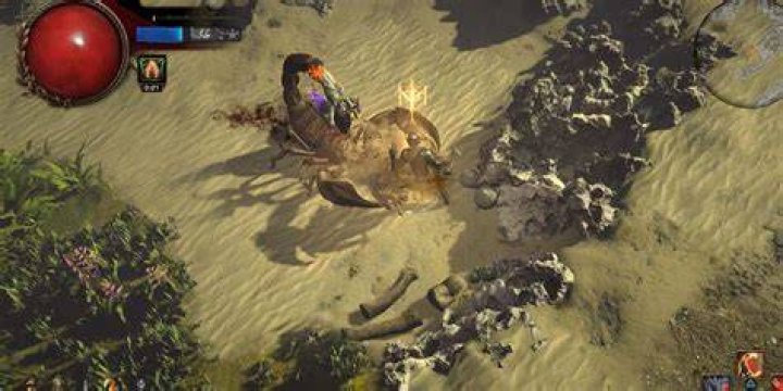 How-to-Capture-Beasts-in-TOF