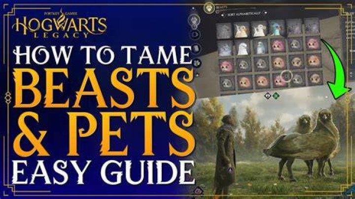 How-to-Catch-Beasts-in-Tower-of-Fantasy