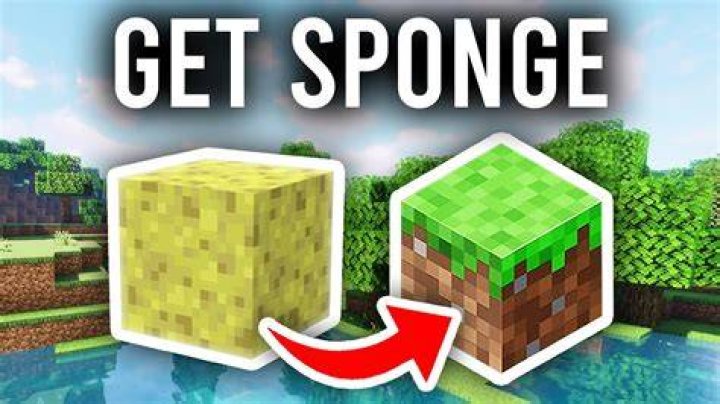 how-to-get-sponge-in-minecraft-sponge-room
