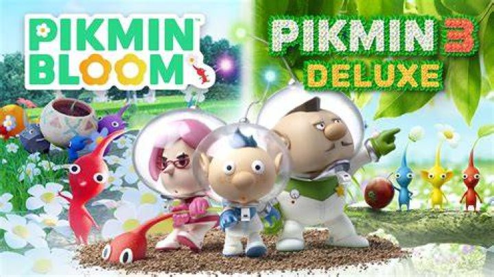 How to open Pikmin 3 bamboo gate winged Pikmin pink Pikmin