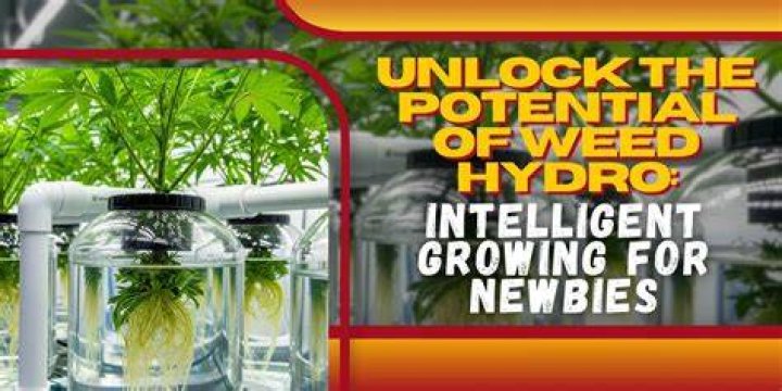 How to unlock the weed emblem in Call of Duty: Modern Warfare