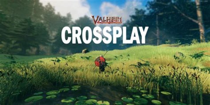 Is Valheim cross-play