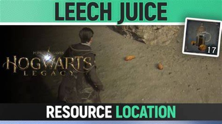 Where to Get Leech Juice in Hogwarts Legacy Leech-Juice-location-Hogwarts-Legacy-map