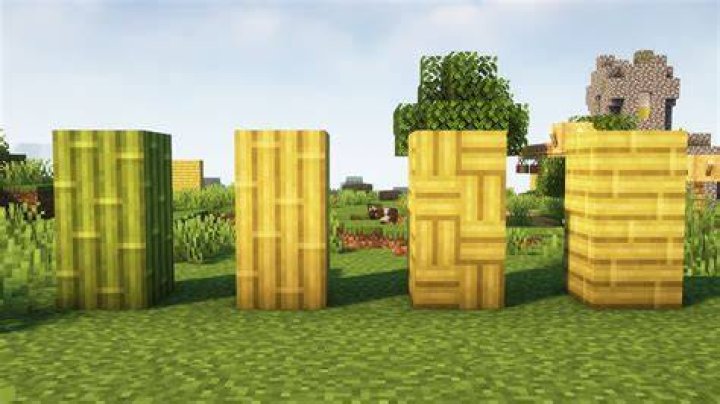 Minecraft bamboo blocks