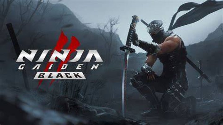 Ninja Gaiden 2