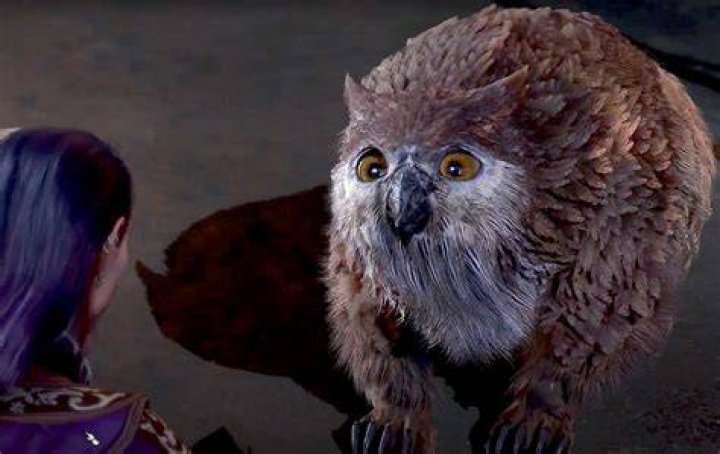 Here's What to do with the Owlbear Egg in Baldur's Gate 3 Owlbear-Baldurs-Gate-3