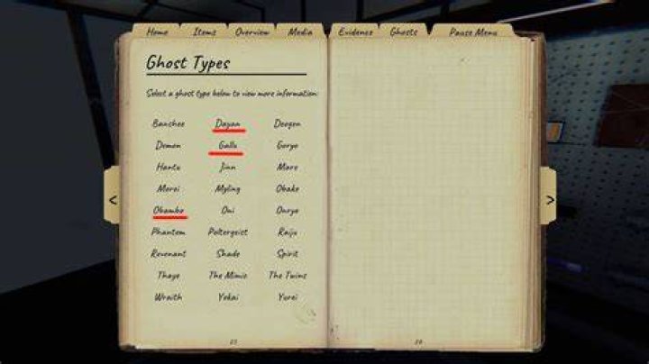 Phasmophobia New Ghost Photo