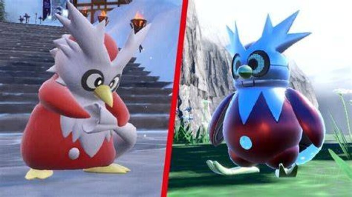 Where to Find a Water Stone in Pokemon Scarlet and Violet Pokemon-Scarlet-and-Violet-Delibird-Presents-1