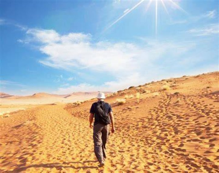 Where to Find Coal in Palworld Preparing-for-the-Desert