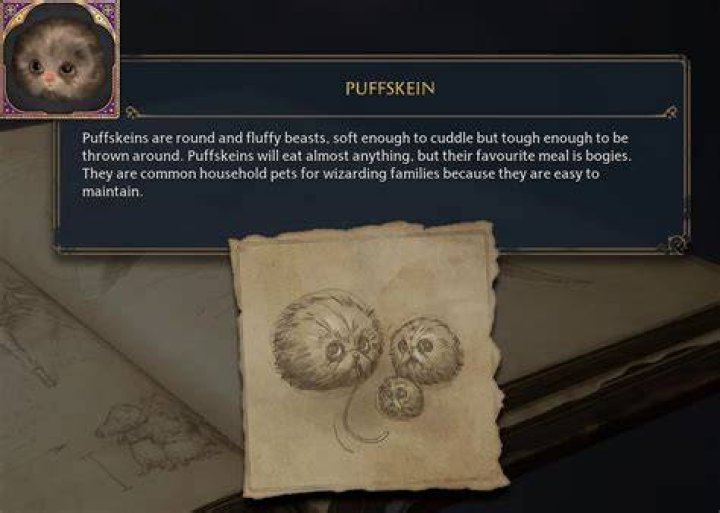 Puffskein-Den-Locaiton