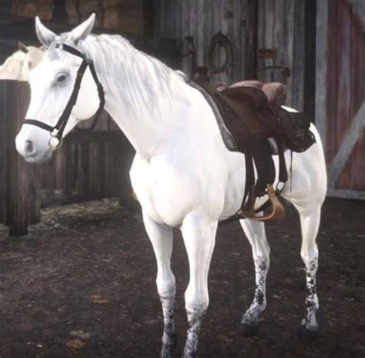 red dead redemption 2 arabian horse breed