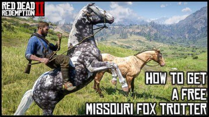 red dead redemption 2 missouri fox trotter horse breed