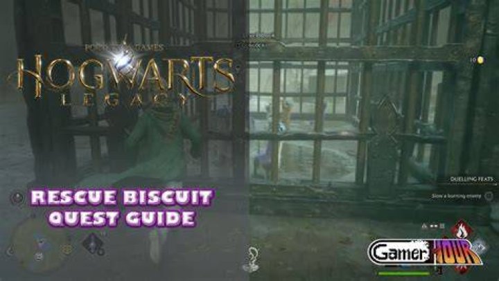 How to Rescue Biscuit in Hogwarts Legacy Rescue-BIscuit-NPC-and-Quest-Location-in-Hogwarts-Legacy