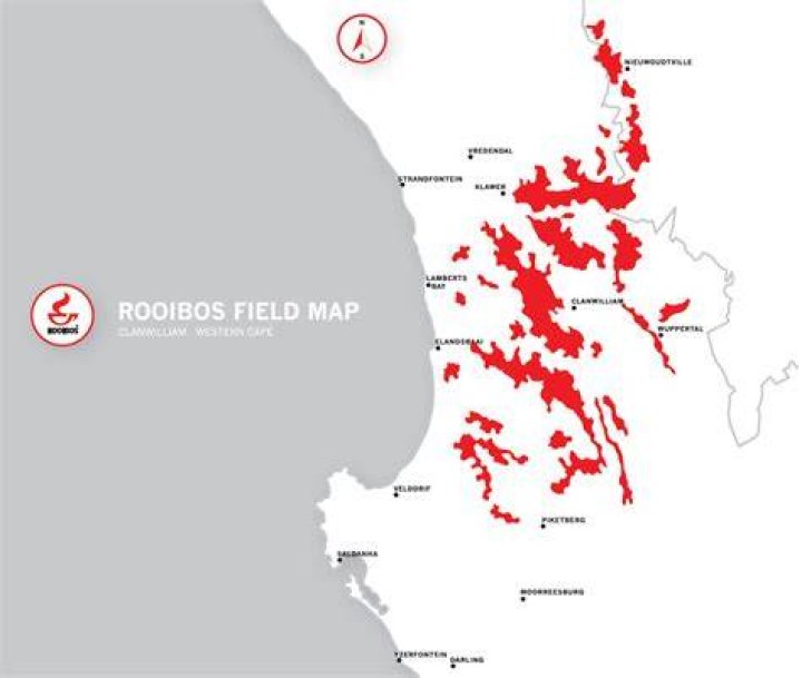 How to Get Rooibos in Enshrouded Rooibos-Location-on-map-in-Enshrouded