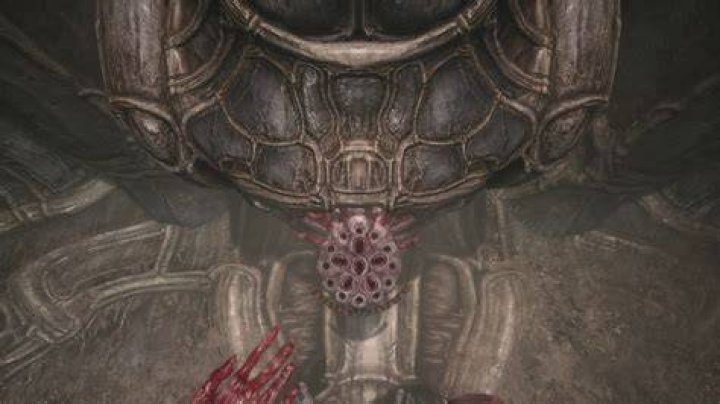 Scorn How to Heal Find Health Charges2