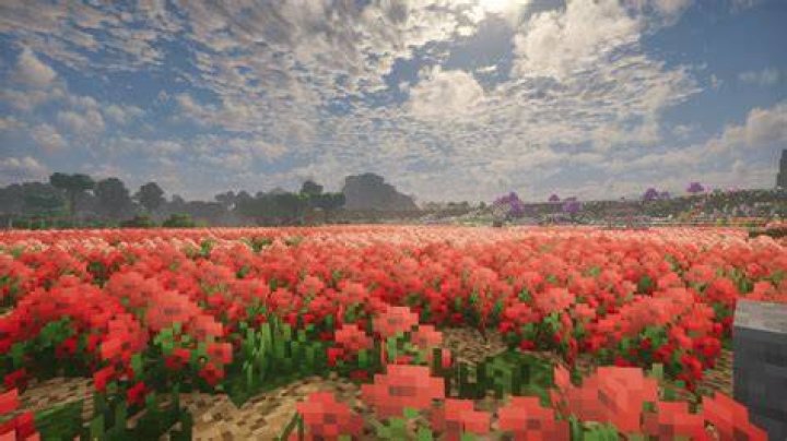 Screenshot_167