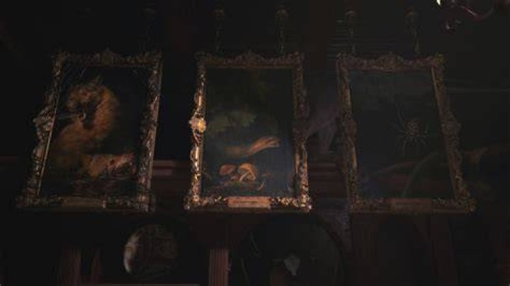 Shadows of Rose Missing Painting