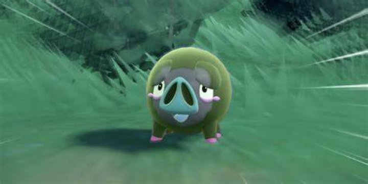 Best Sandwich Ingredients in Pokémon Scarlet and Violet Shiny-Lechonk-in-Pokemon-Scarlet-and-Violet