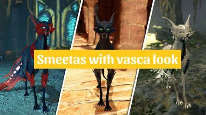 The 5 Best Companions in Warframe Smeeta-Kavat-and-Oxylus