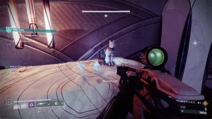 Destiny 2 Tigerspite God Roll: Best PVE and PVP Perks Starcat-Selfie-Destiny-2