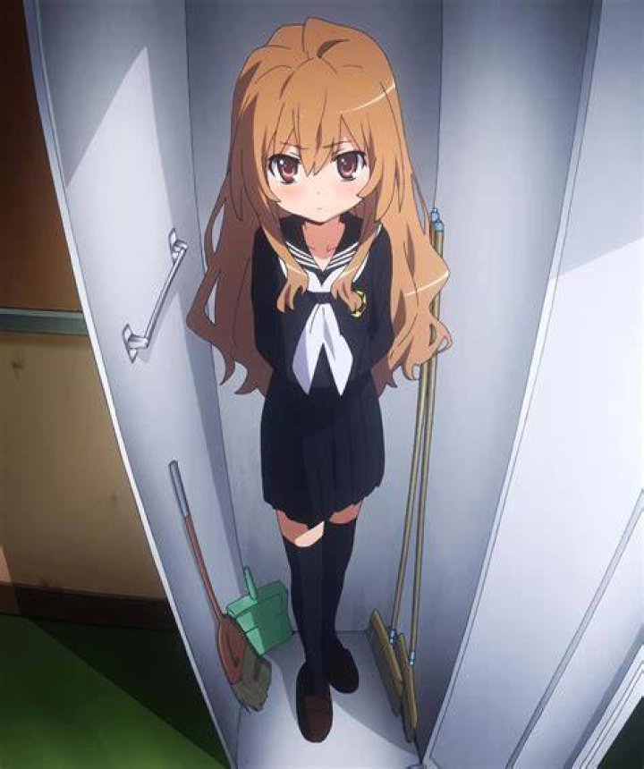 10 Best Shows Like Horimiya Taiga-from-Toradora-ready-to-fight