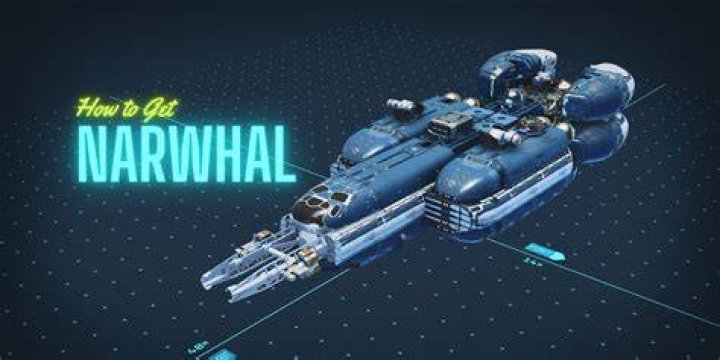 The Best Starfield Ships, Ranked The-Narwhal-Starfield