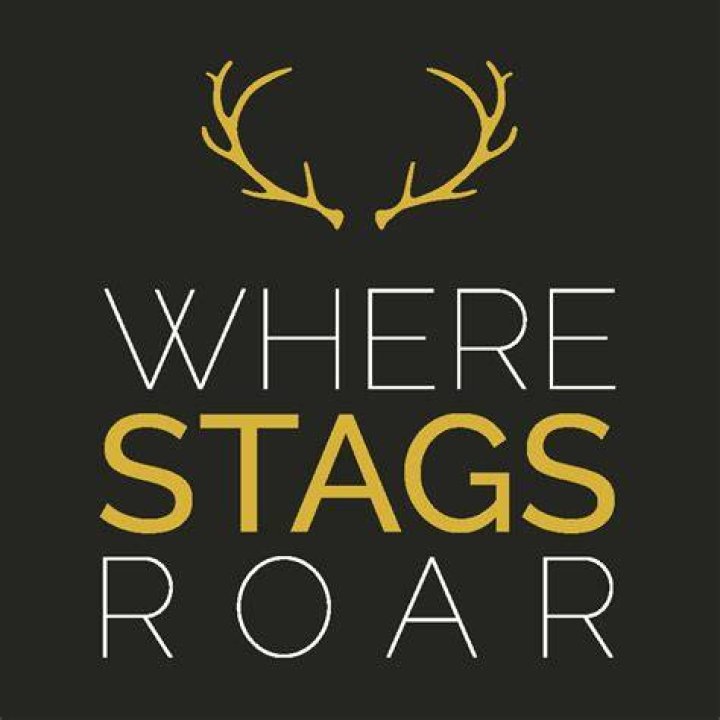 All Souvenir Locations in A Plague Tale: Requiem The-Stags-Roar-Souvenir-in-A-Plague-Tale-Requiem