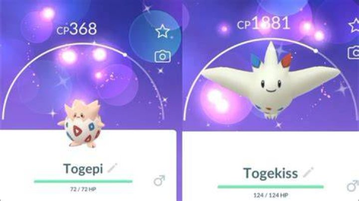 Best Defenders to Use in Pokemon GO Togekiss-Pokemon-GO-1280x720