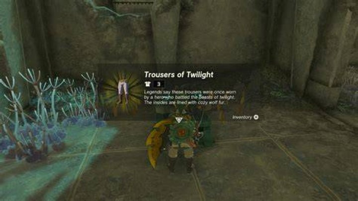 Twilight-Princess-Trousers-location-zelda-tears-of-the-kingdom