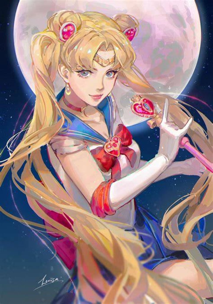 6 Best Gay Anime on Netflix Usagi-Sailor-Moon