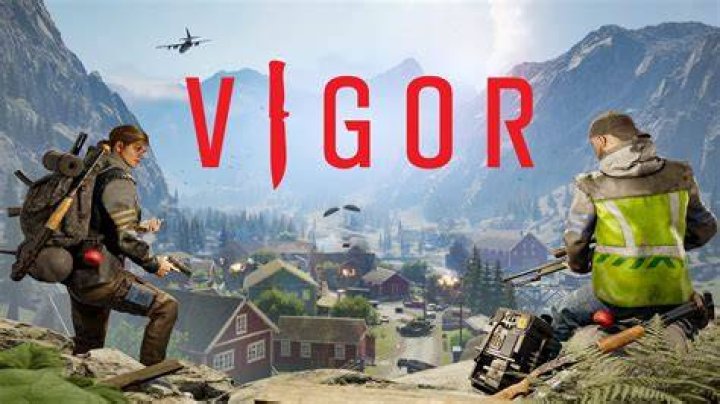 Vigor 1.1 Update