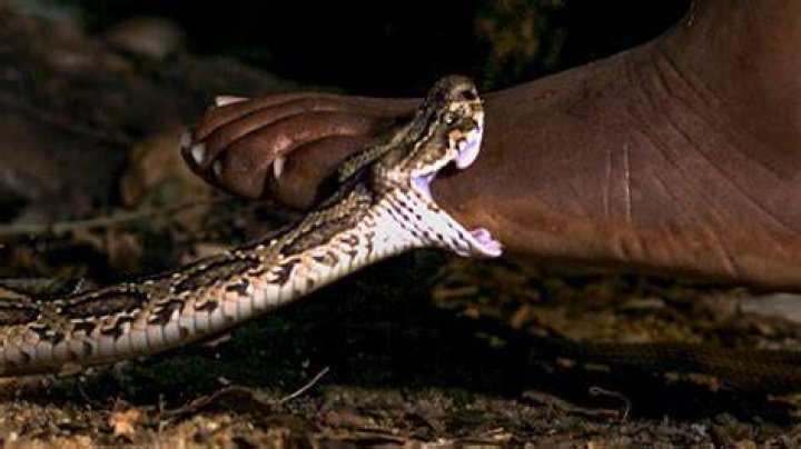 Valorant: Best Viper Haven Lineups and Setups Viper-A-Snake-Bite-Attack-Location