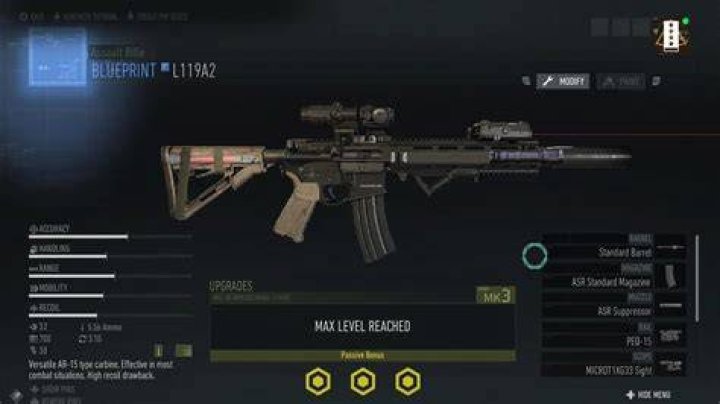 Weapon Customization