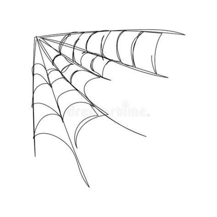 How to Complete The 'Slack Line' Trophy After Beating Spider-Man 2 Web-Line-Hunter-Base-Spider-Man-2